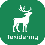 Taxidermy