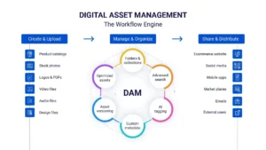 Digital Asset Management 